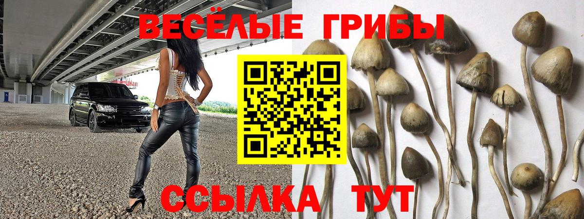 Галлюциногенные грибы мицелий  Вход с VPN  Ивантеевка 